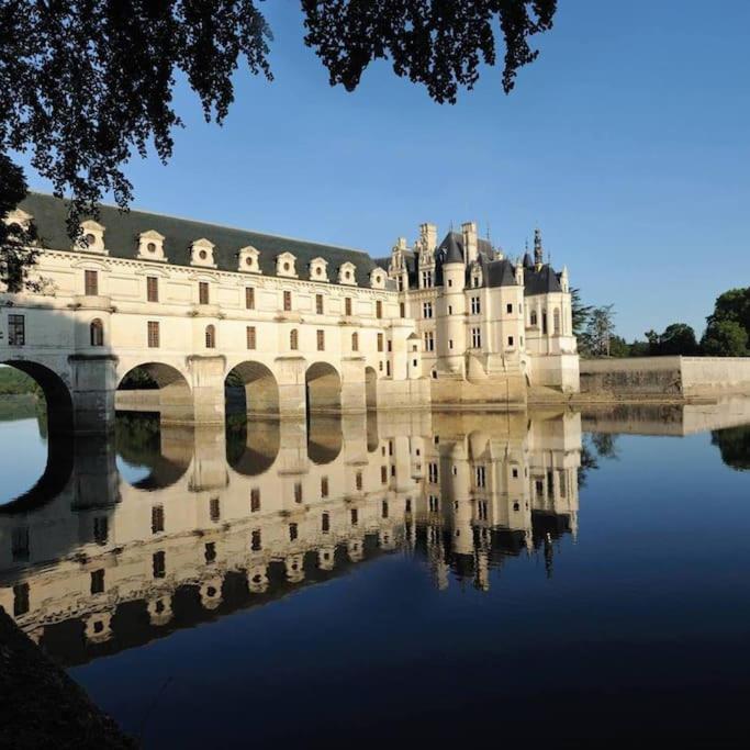 Maison De Charme Blere-chenonceaux * Blere